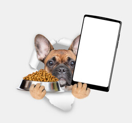 French bulldog puppy looks through a hole in white paper, holds bowl of dry pets food and  shows smartphone with white blank screen in it paw, Empty free space for mock up, banner - 784889393