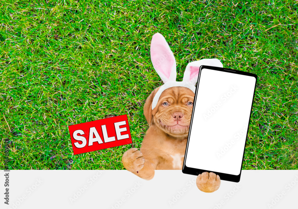 Fototapete smiling mastiff puppy wearing easter rabbits ears holds big smartphone with white blank screen in it