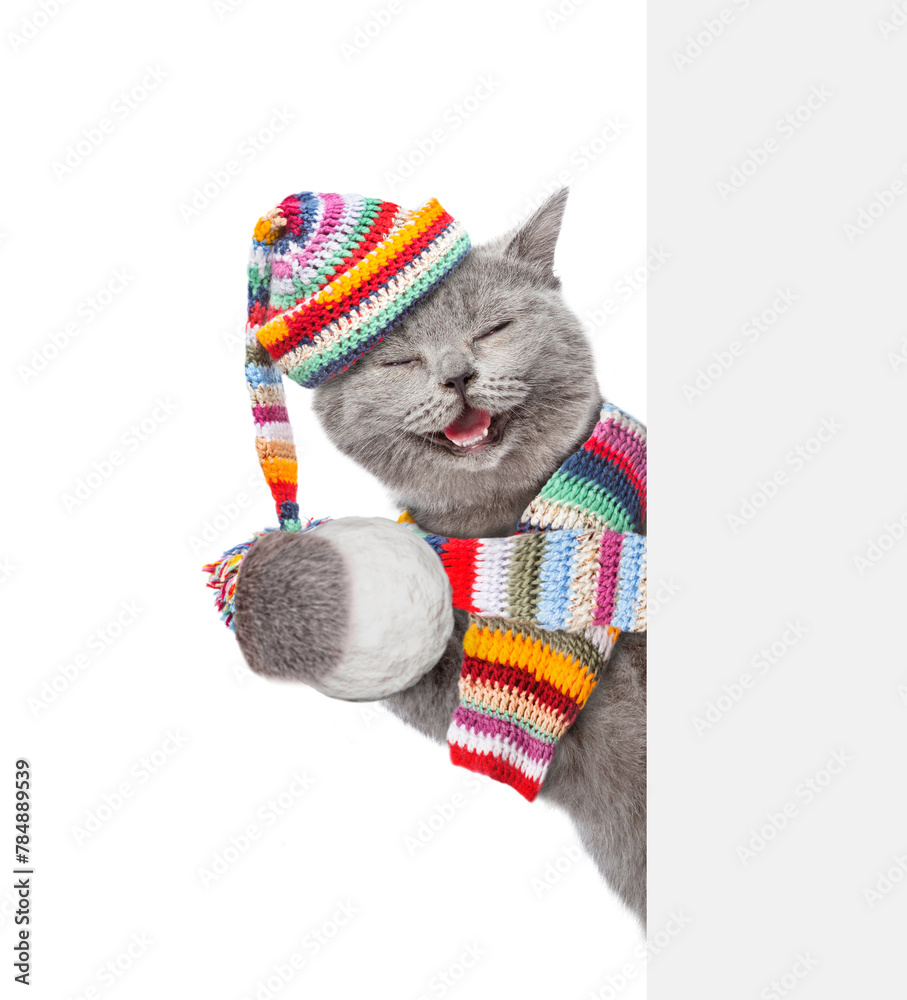 Poster happy cat wearing warm winter knitted woolen hat with pompon and scarf holds snowball and looks from