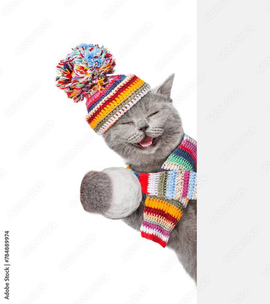 Poster happy cat wearing warm winter knitted woolen hat with pompon and scarf holds snowball and looks from