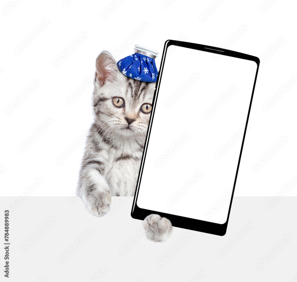 Aufkleber sad sick kitten with ice bag or ice pack on his head shows big smartphone with empty screen above em