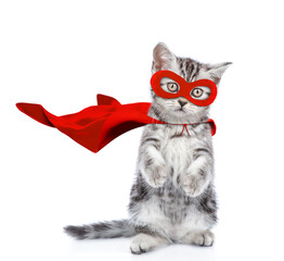 Cute kitten wearing superhero costume standing on hiund legs and looking at camera. Isolated on white background