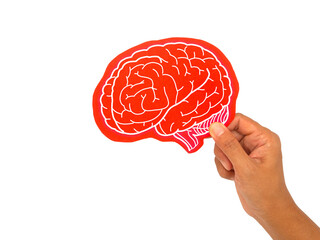 Close-up of a hand holding a brain symbol made from red paper against a transparent background.