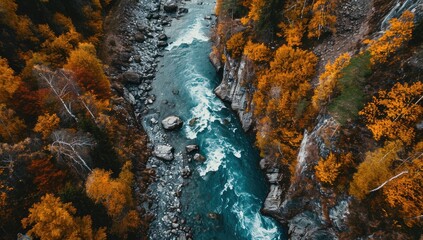 Nature's Canvas: Aerial View of a Mountain River Amidst Autumn's Splendor