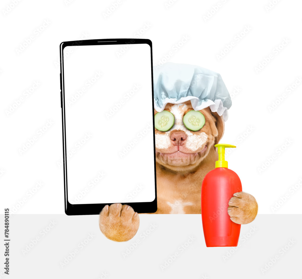 Poster Mastiff puppy with shower cap on it head with pieces of cucumber on it eyes and with cream on it face holds smartphone with white blank screen in it paw above empty white banner. isolated on white