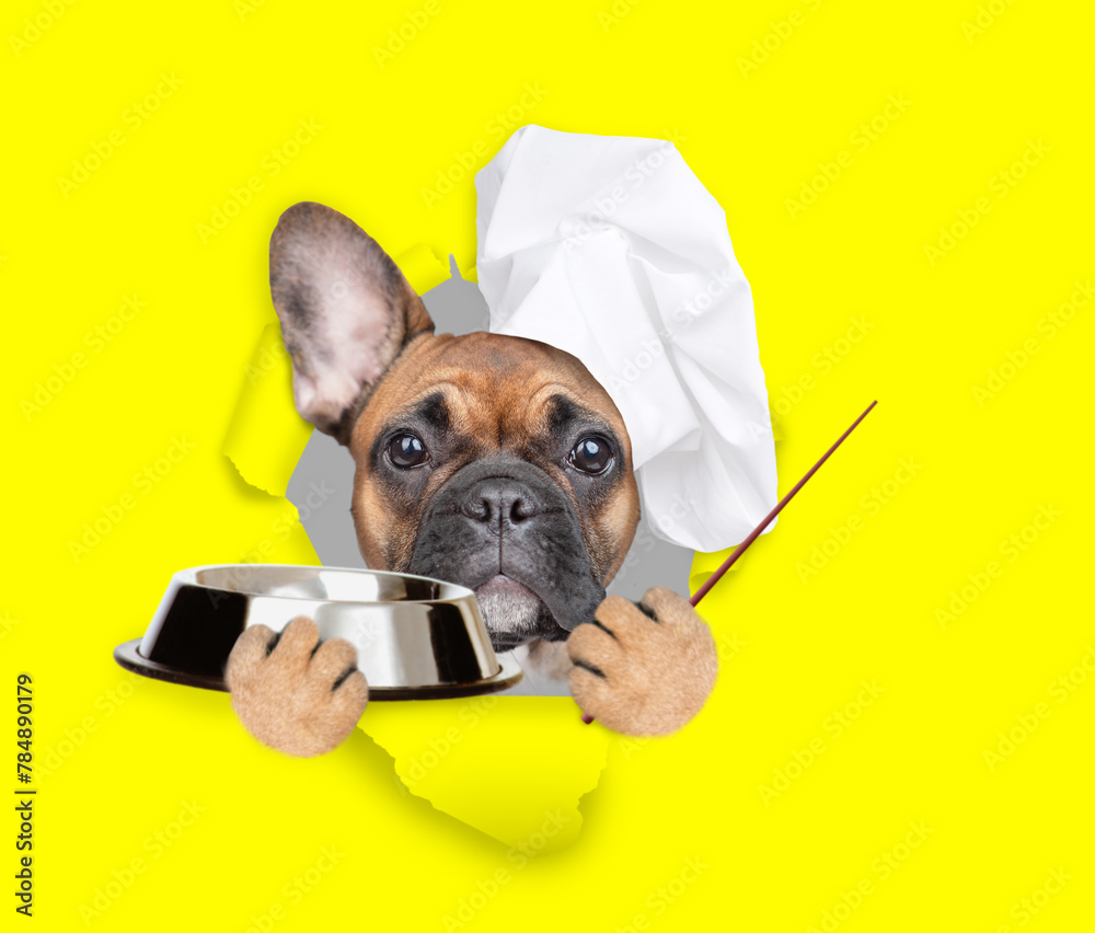 Poster french bulldog wearing chef's hat looking through the hole in yellow paper, holding empty bowl and p