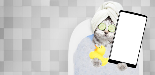 Cute kitten wearing shower cap, with cream and slice of cucumbers on it face takes the bath with...