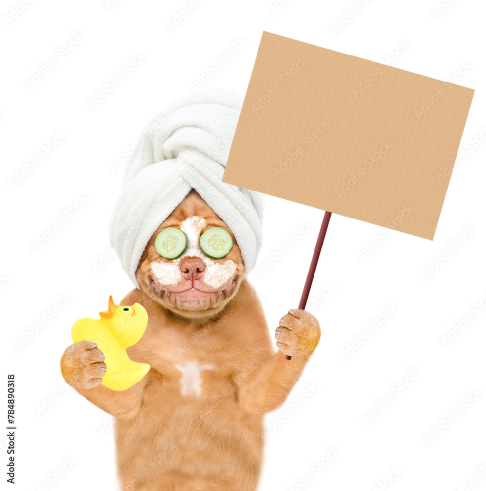 Poster Smiling Mastiff puppy with towel on it head, with cream on it face shows empty placard and holds rubber duck. isolated on white background
