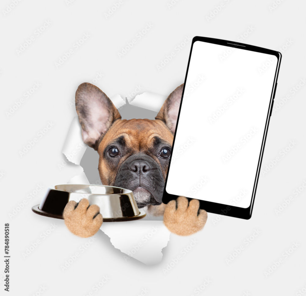 Poster french bulldog puppy looks through a hole in white paper, holds empty bowl and shows smartphone with
