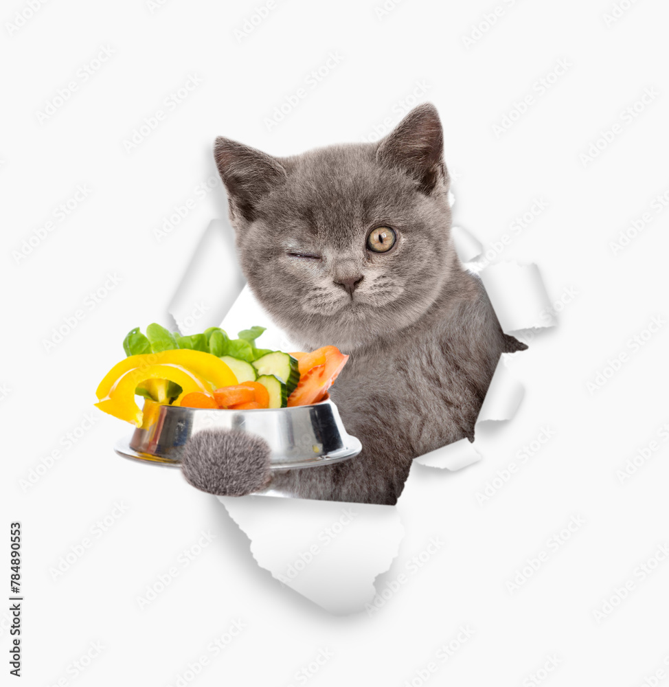 Aufkleber winking kitten holds bowl of vegetables and looks through the hole in white paper