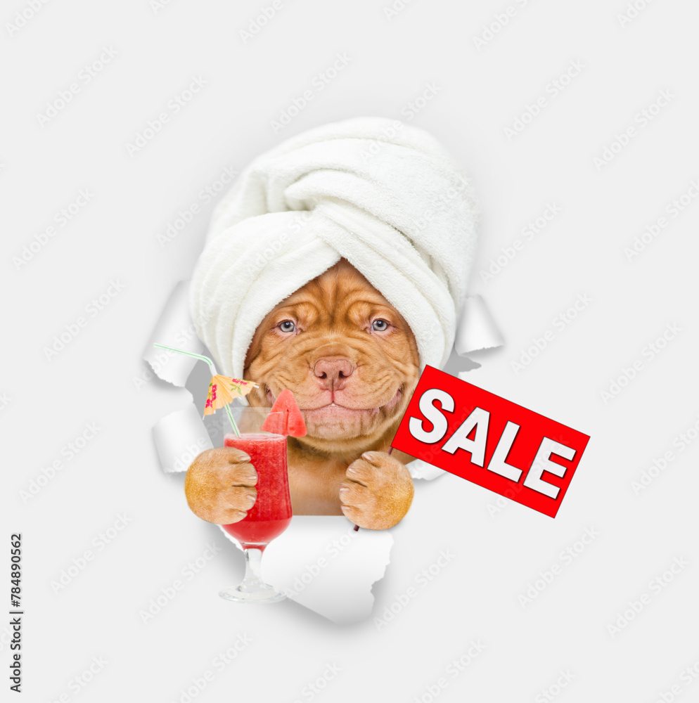 Poster smiling mastiff puppy with towel on it head looking thrwatermelon cocktail and showing signboard wit