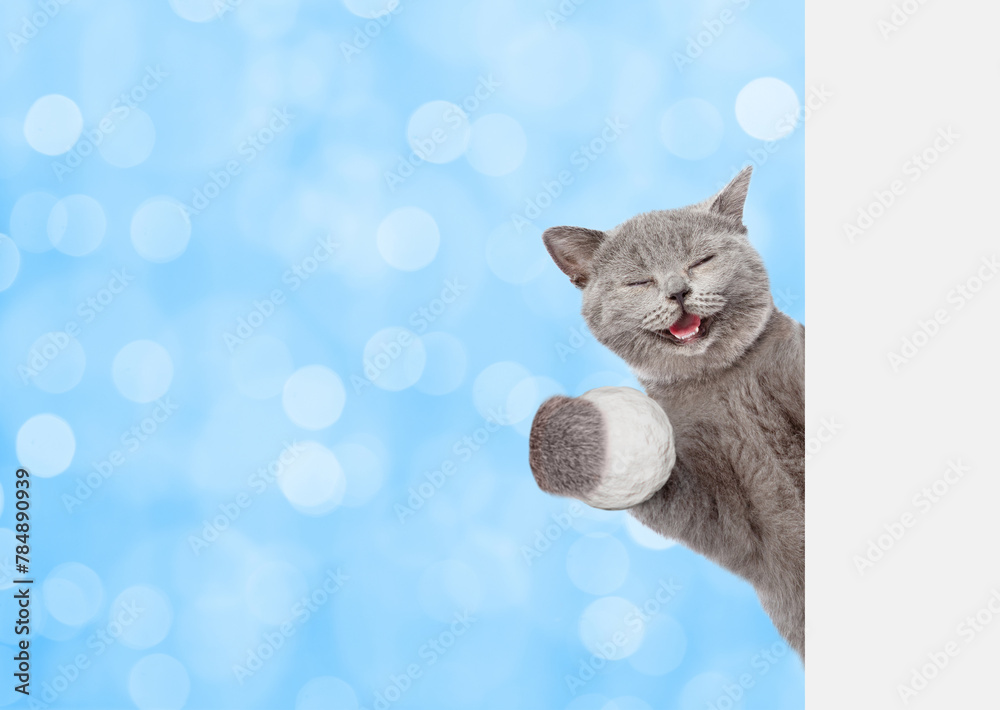 Poster happy cat holds snowball behind empty white banner. isolated on white background