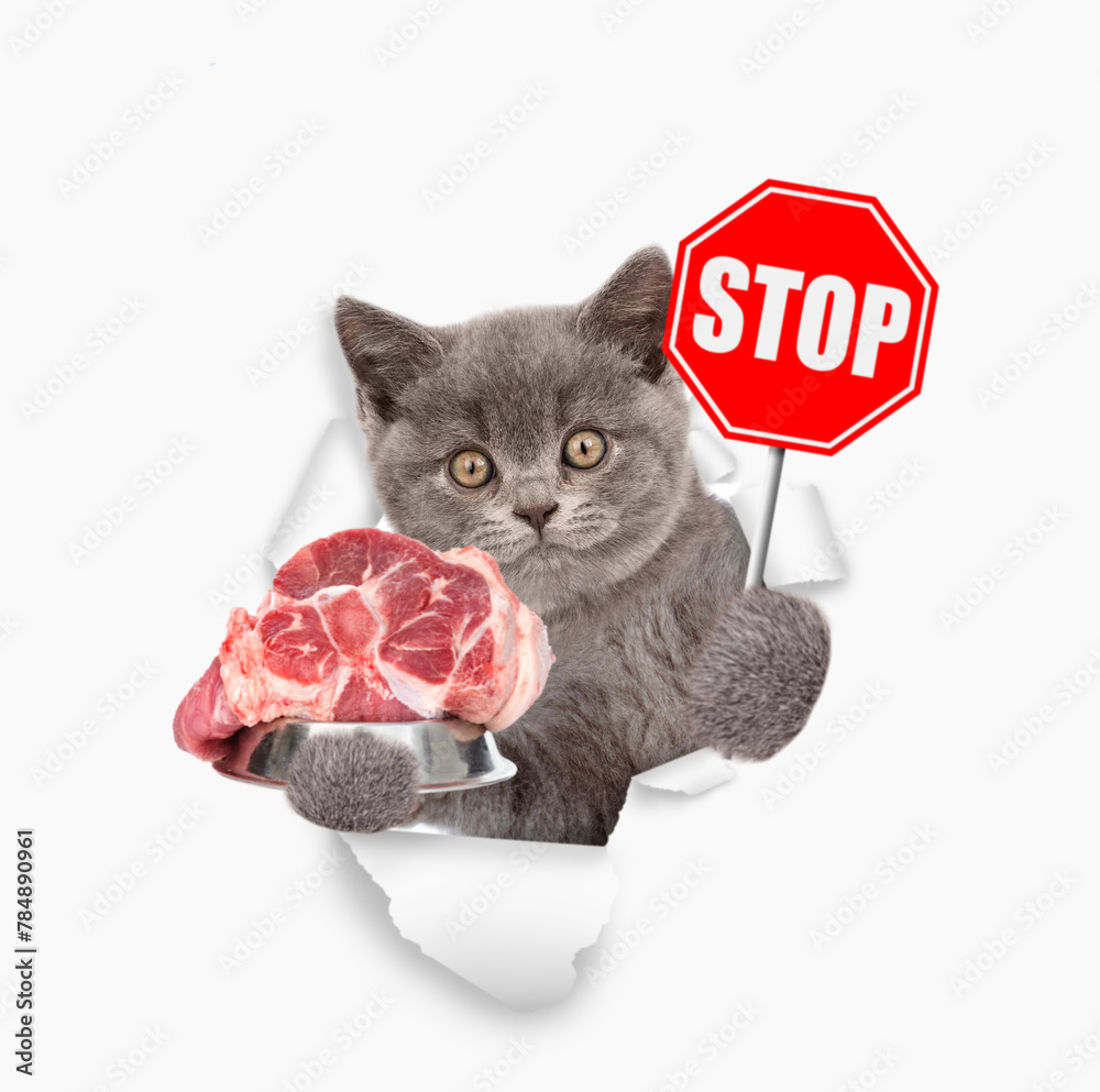 Aufkleber cat looking through the hole in yellow paper and holding empty bowl and shows stop sign