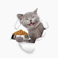 Happy cat holding bowl of dry pets food and looking through the hole in white paper