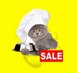 Cat wearing chef's hat looking through the hole in yellow paper and holding empty bowl - 784890965