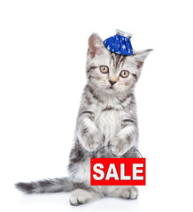 Sad sick kitten with ice bag or ice pack on his head stands on hind legs and shows signboard with labeled 