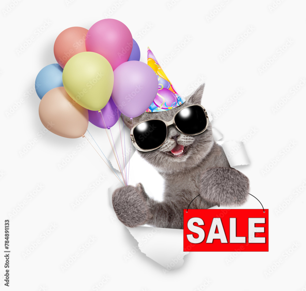 Aufkleber happy cat wearing sunglasses and party cap holding balloons and looking through the hole in white pa