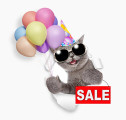 Happy cat wearing sunglasses and party cap holding balloons and looking through the hole in white paper and showing signboard with labeled "sale". Empty space for text