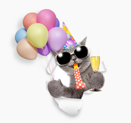 Happy cat wearing sunglasses and party cap blows in party horn and looks through a hole in white paper, holds balloons and glass of champagne