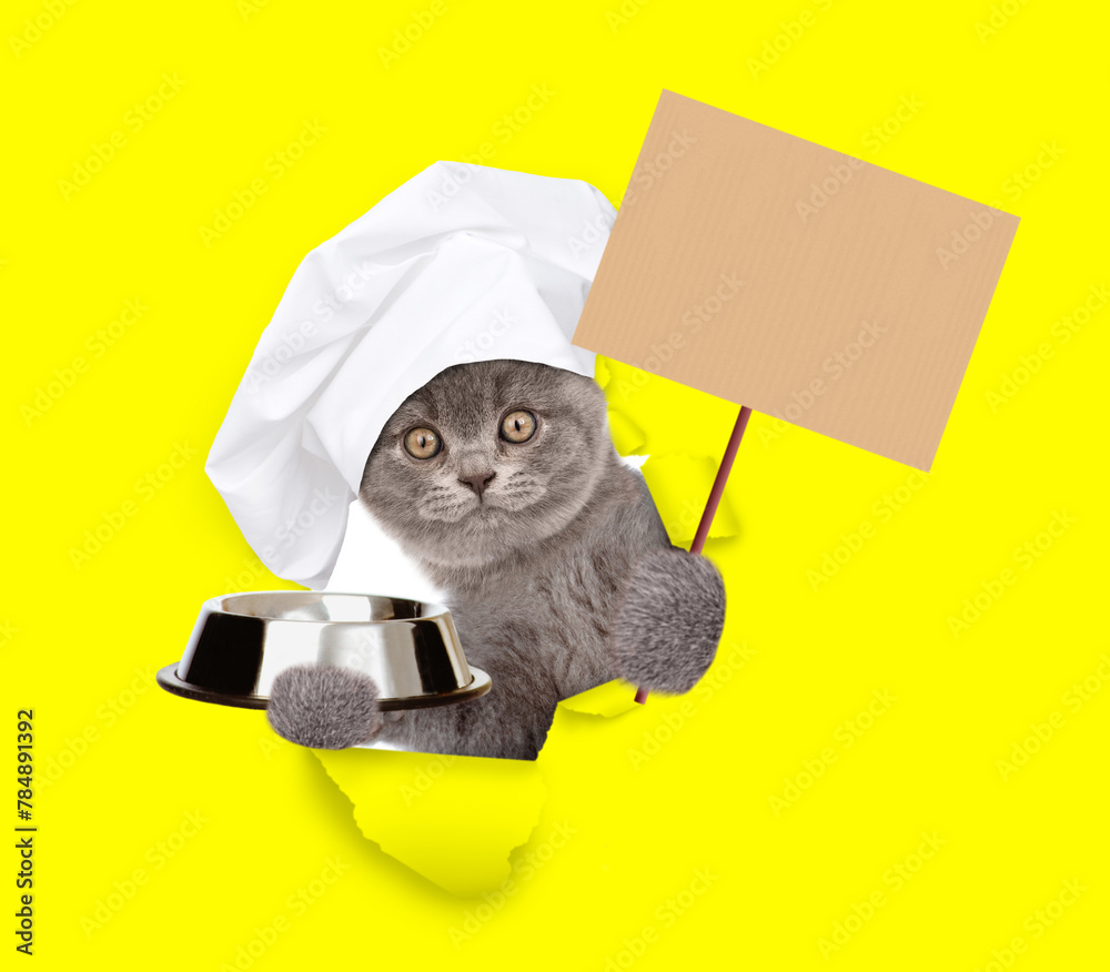 Poster cat wearing chef's hat looking through the hole in yellow paper, holding empty bowl and showing empt