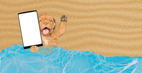 Funny Mastiff puppy lying at beach and showing big smartphone with white blank screen in it paw. Empty space for text