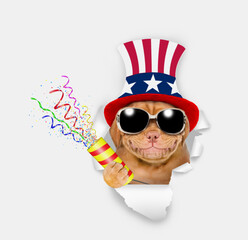 Happy Mastiff puppy wearing like Uncle Sam explodes a firecracker through the hole in white paper - 784891381