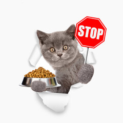 Cat looking through the hole in white paper and holding empty bowl and shows stop sign - 784891384