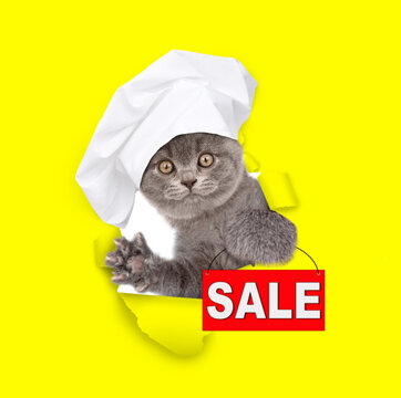 Cute kitten wearing chef's hat looking through a hole in yellow paper and holding signboard with labeled "sale"