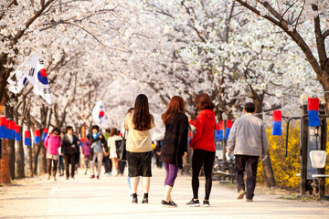 View of the cherry blossoms with the people on the street 