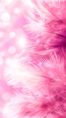 Fotobehang Delicate pink white soft feathers, fluffy pastel plush abstract macro, elegant ethereal macro © John