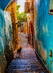 Old Stone Street Alleyway Black Cat Safed Tsefat Israel - 784897982