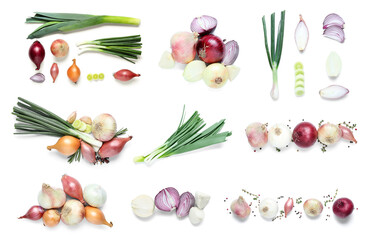 Collage of different sorts of onion and spices on white background