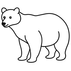 polar bear vector illustration