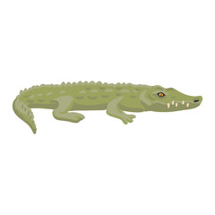 vector drawing green crocodile isolated at white background, hand drawn illustration - 784901541