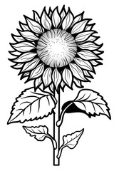 Sunflower Coloring Pages (100% Free Printables)