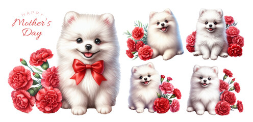 White pomeranian puppy and red carnation watercolor illustration material set
