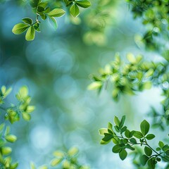 Serene Spring: A Minimalistic Top View of Lush Greenery in Blur, Perfect for a Refreshing Background