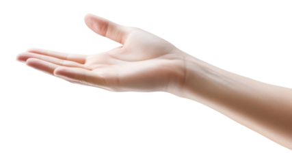 PNG Hand finger person adult