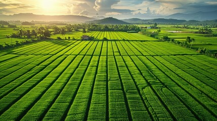 Aerial View of Lush Green Agricultural Landscape Optimizing Efficient Farm to Market Supply Chain and Production Processes