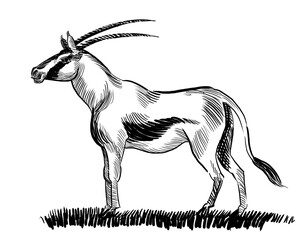 Standing antelope. Hand drawn retro styled black and white illustration - 784911106