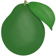 Avocado drawing with watercolor
