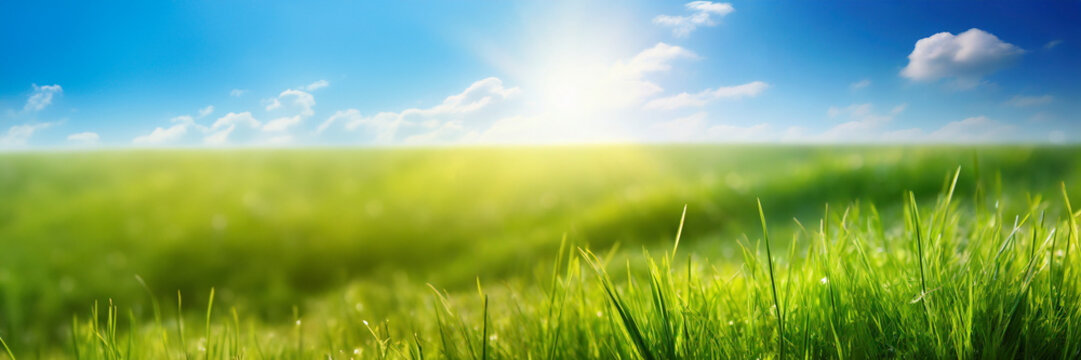 Green grass and blue sky with clouds. Panoramic background.