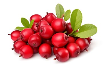 Bearberry with leaf fruit on white background