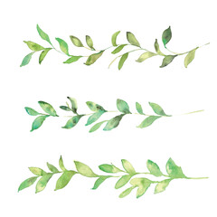 水彩画。水彩タッチのネクター草木フレーム。水彩で描いた植物の葉っぱイラスト。植物フレーム。Watercolor painting. Nectar plant and tree frame with watercolor touch. Watercolor illustration of plant leaves. Plant frame.