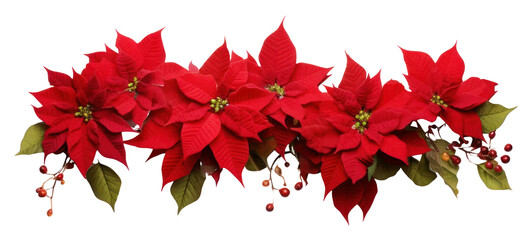 PNG Poinsettia Garland flower plant petal