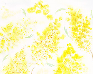 Watercolor background of mimosa flowers, bright yellow branches, spring theme, garden plants on a white background. Texture of the warm season, hand-drawn, for the design of cards, labels, print