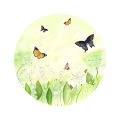 Frame background with butterflies and dandelions, green field with fluffy flowers, round watercolor illustration hand drawn, space for text, basis for brand, card, flyer, posters