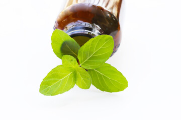 Mint fresh leaves with essential oil bottle