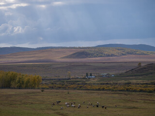 Autumn landscape in Hulun Buir, Inner Mongolia, China.