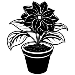black and white flower